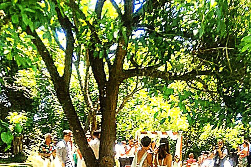 Boda en el parque