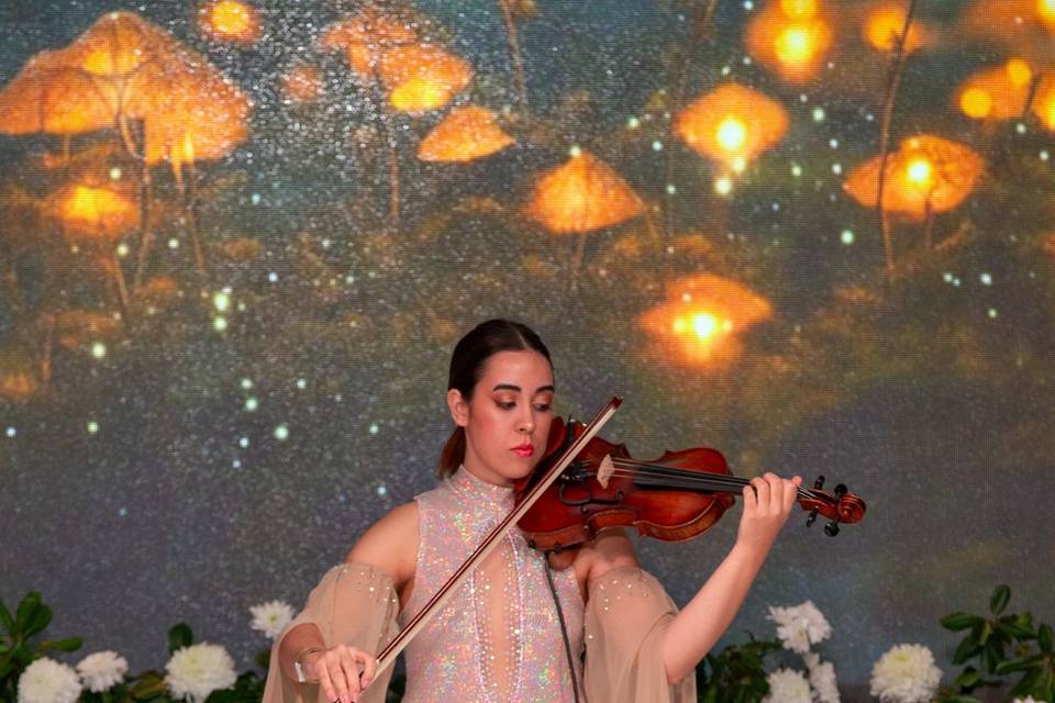 Violinista para eventos