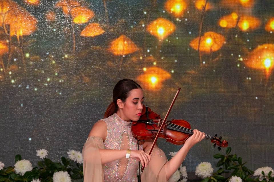 Violinista para eventos