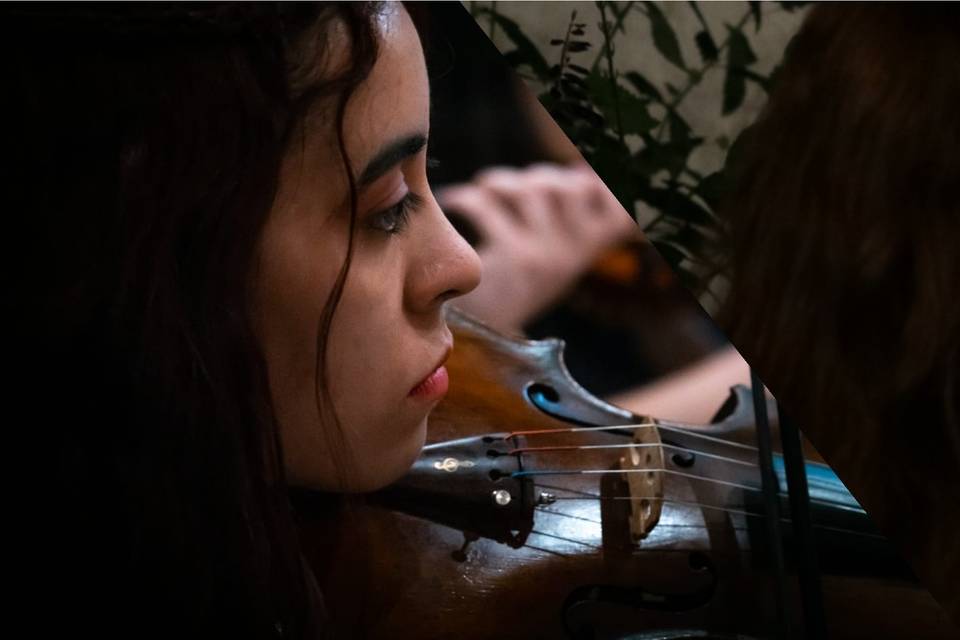 Violinista para eventos