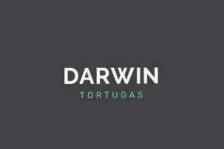 Darwin Tortugas