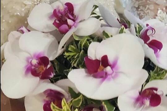 Ramo de orquídeas