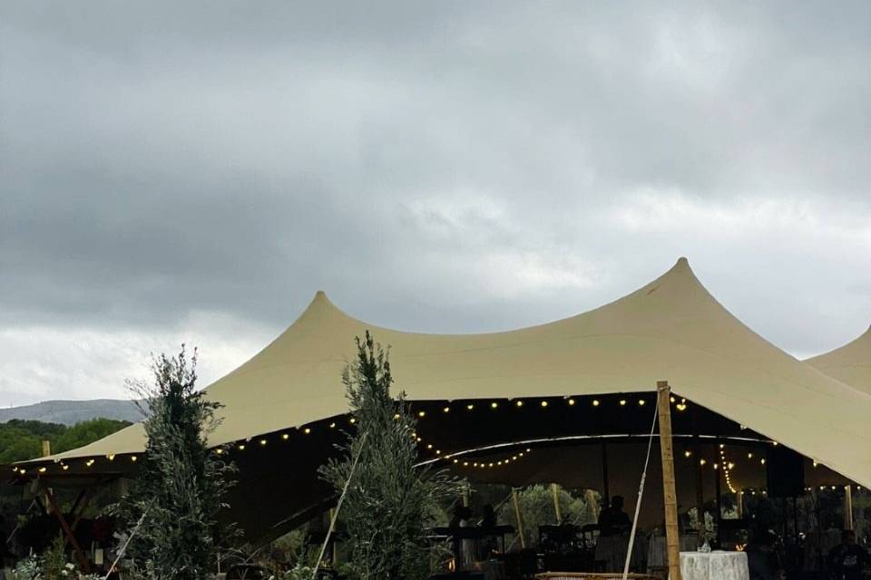 Ambientacion
