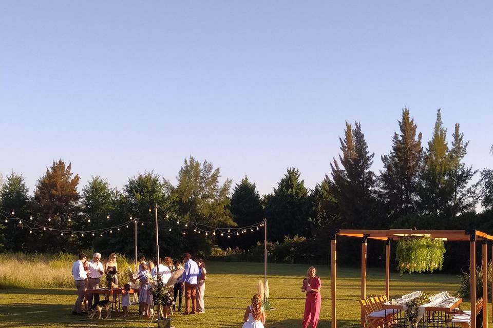 Eventos Sustentables Wave