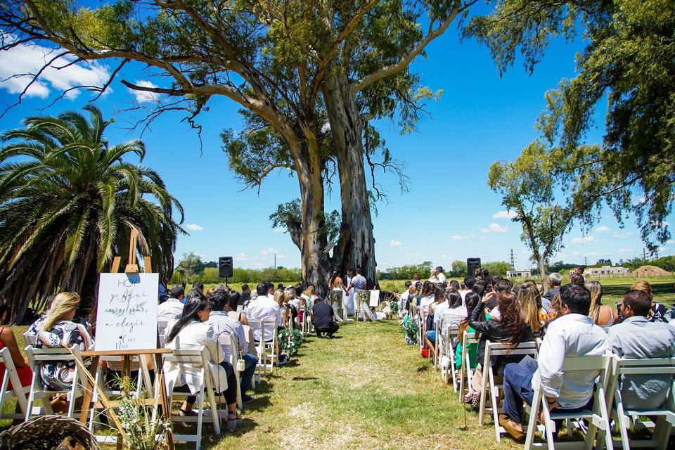 Eventos Sustentables Wave