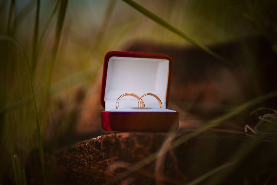 Fotos de parejas felices en su boda