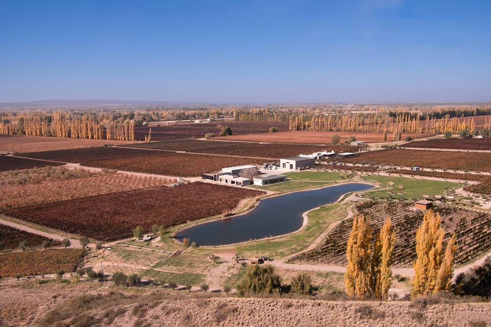 Viñedo en medio de la naturaleza para celebraciones