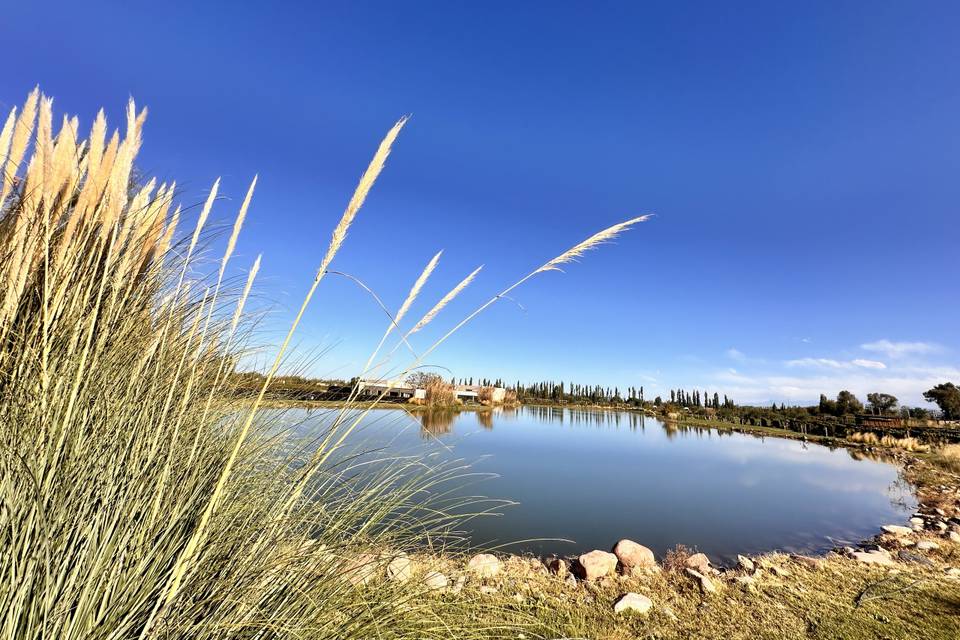 Viñedo en medio de la naturaleza para celebraciones