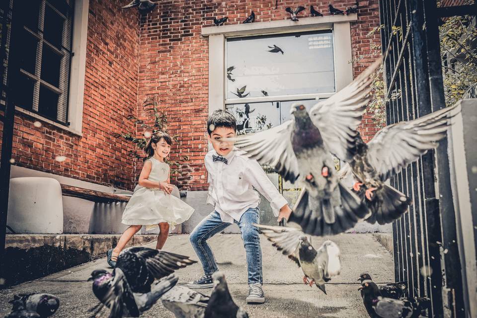 Niños jugando con las palomas