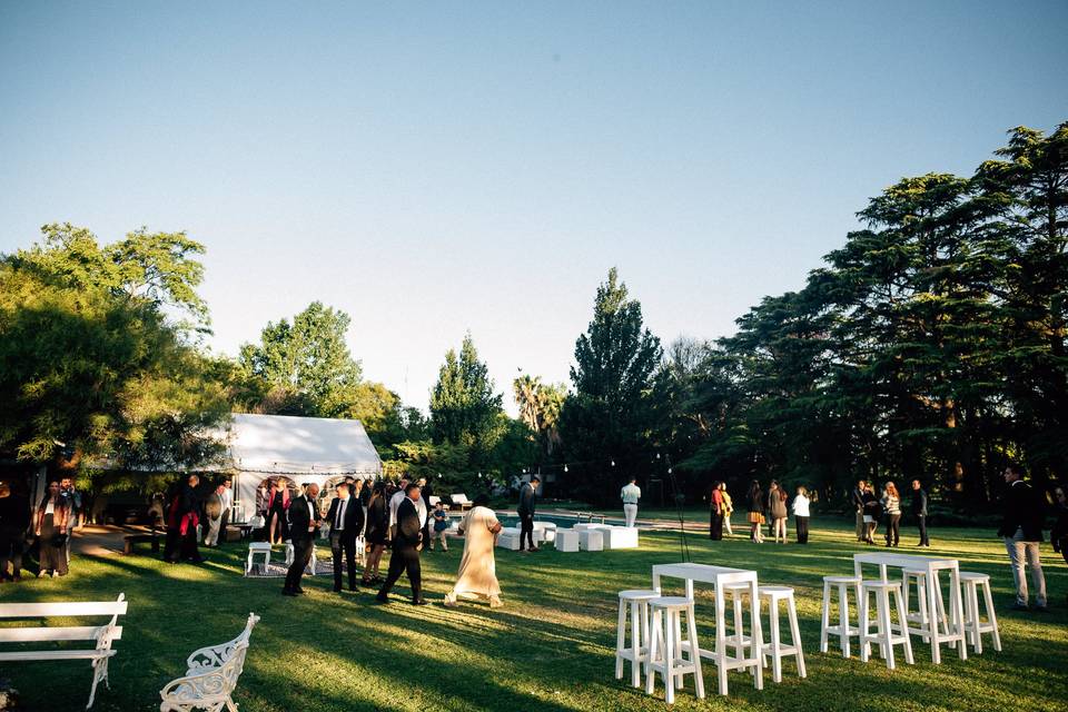 Bodas
