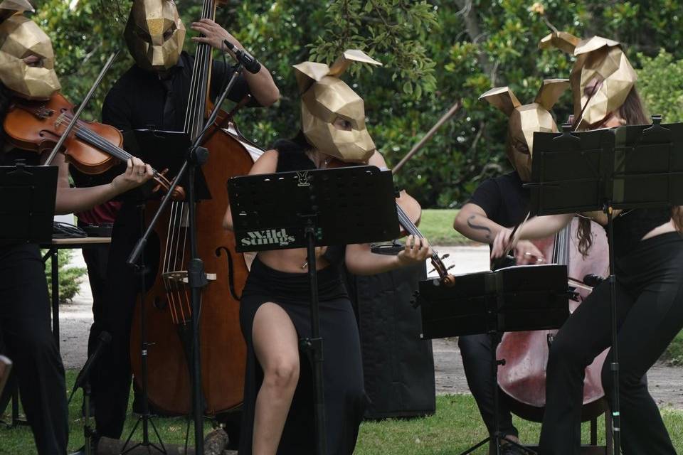 Instrumentación