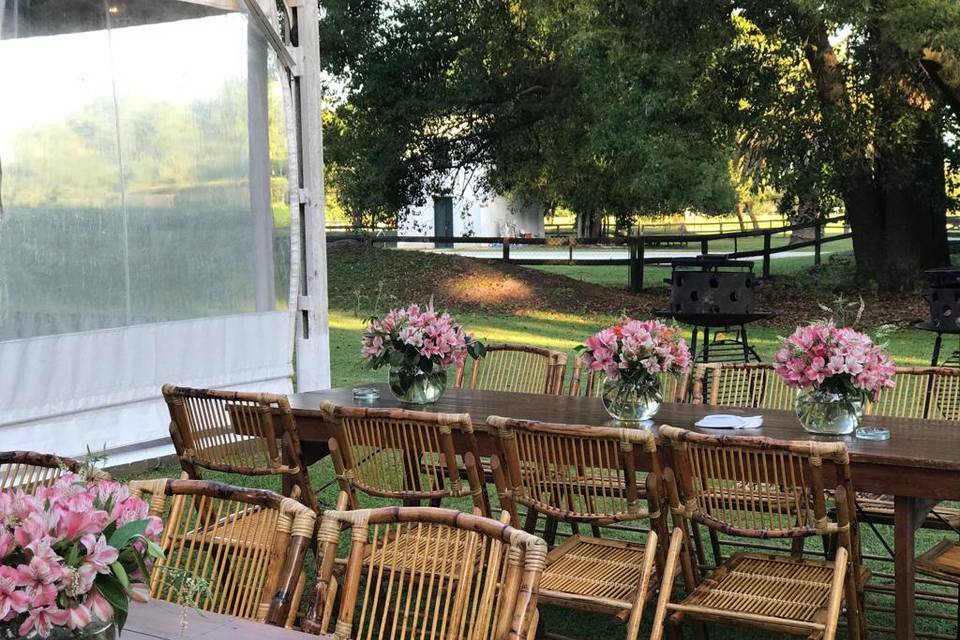 Boda de día