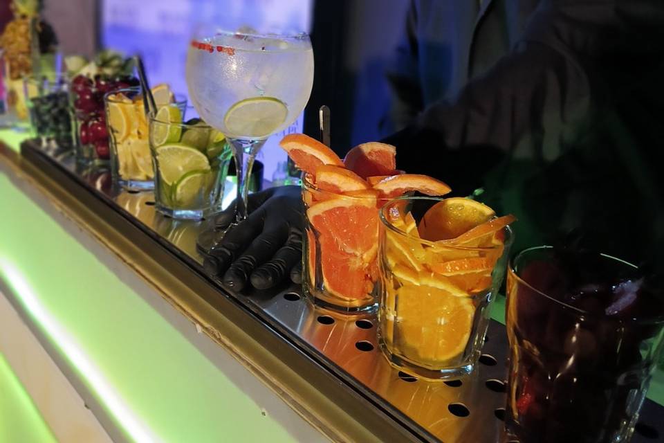 Gin Tonic