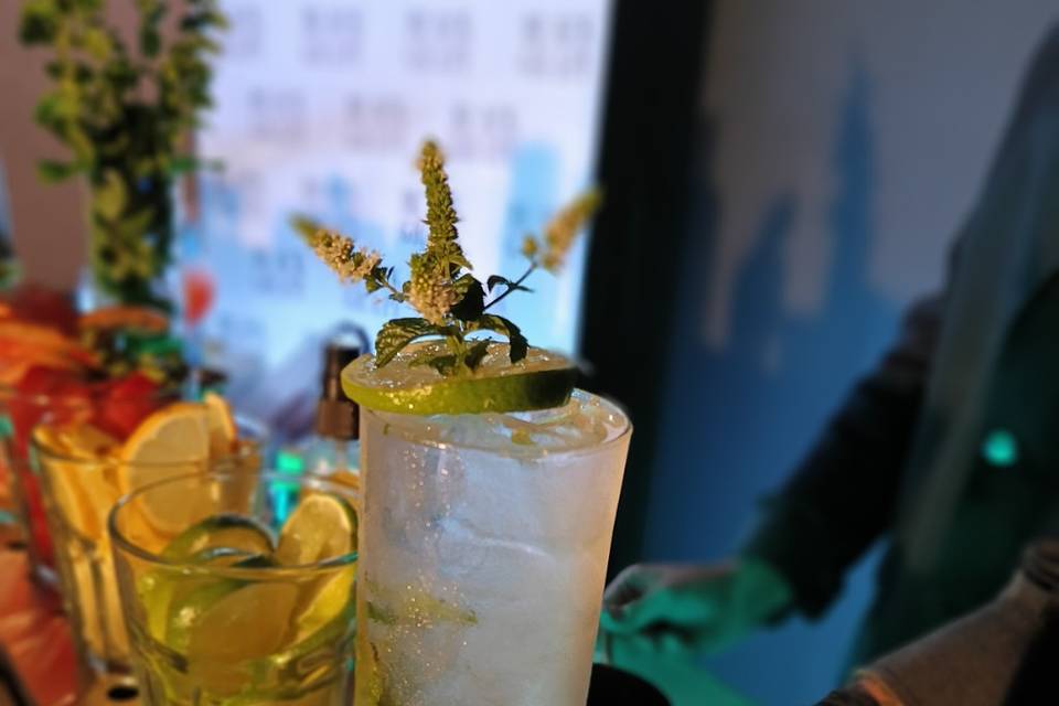 Mojito