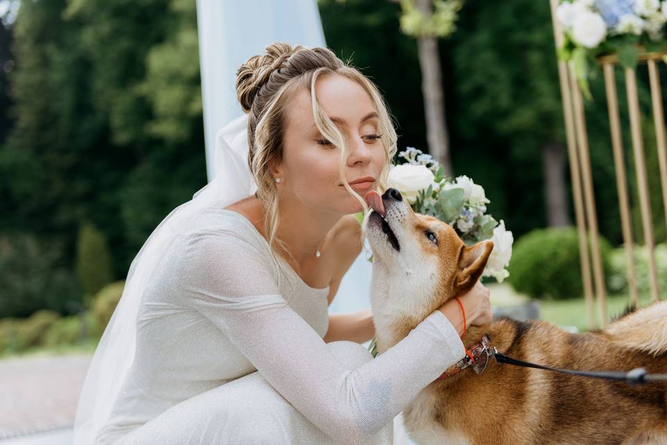 Perrito dándole un beso a la novia