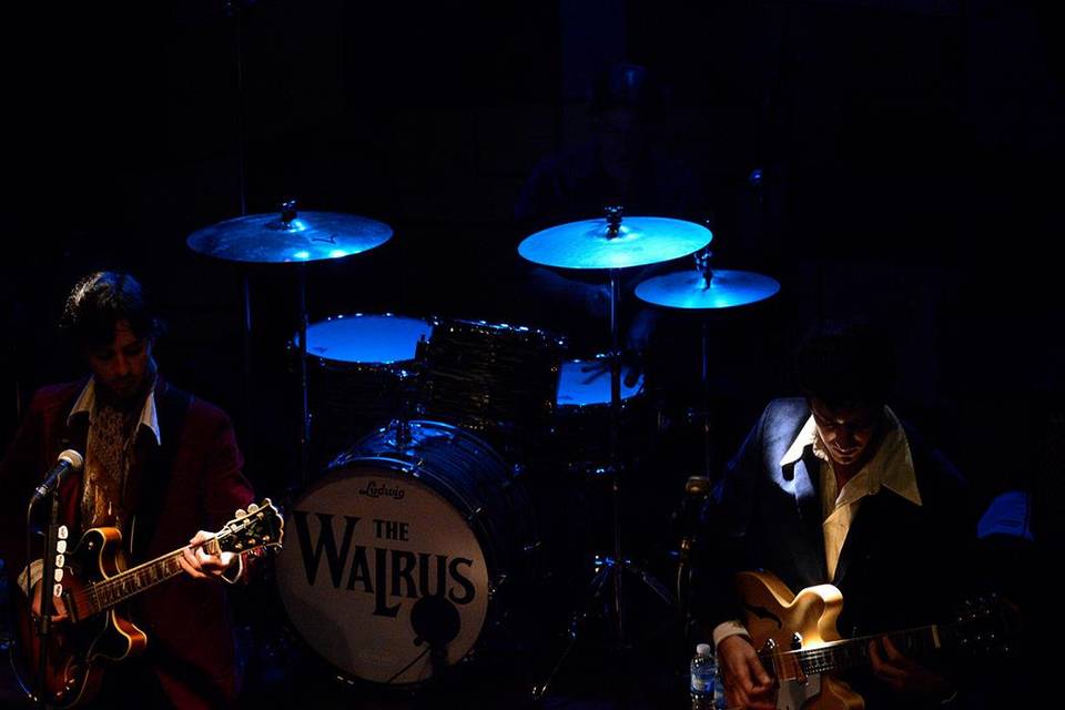 The Walrus Banda Beatle