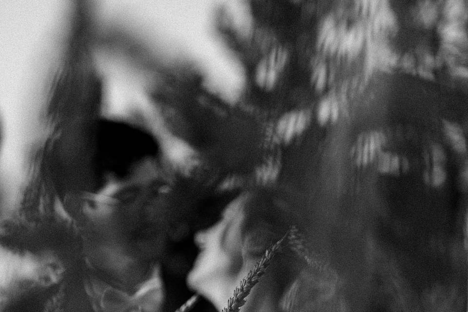 Casamiento Jonathan & Sandy