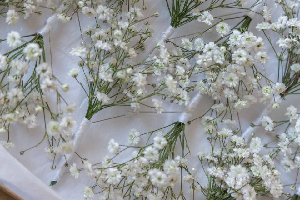 Boutonnieres de gypsophilas