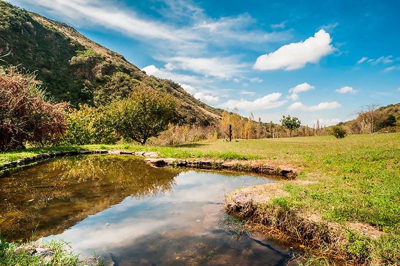 A Orilla del Río