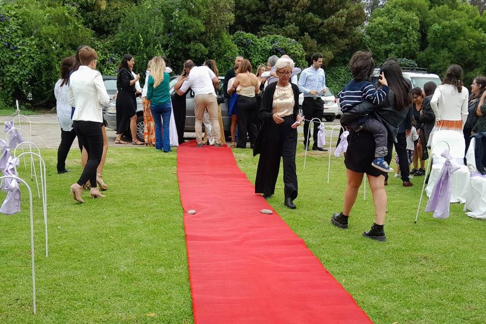 Agarren la alfombra