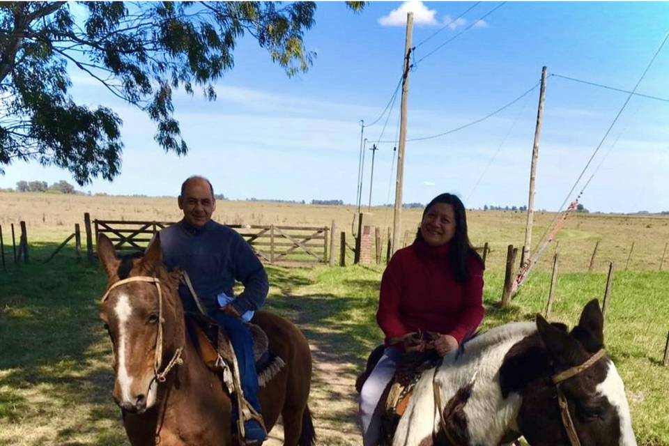 Paseos a caballo