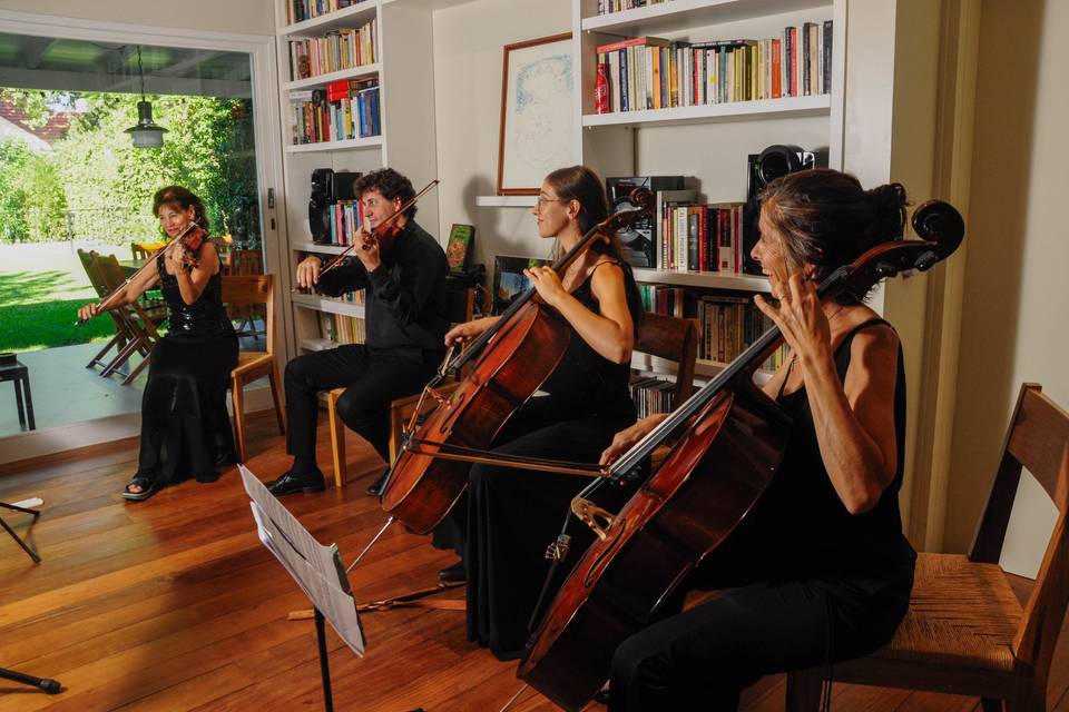 Cuarteto magenta. Cumpleaños e