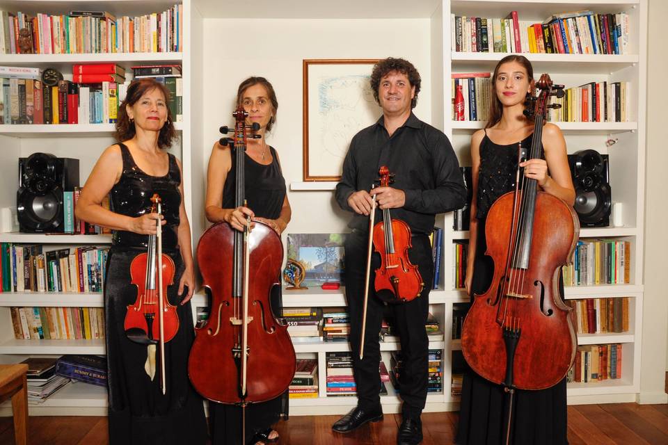 Cuarteto magenta.