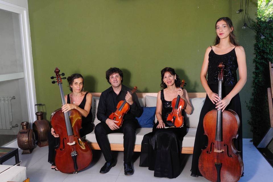 Cuarteto magenta