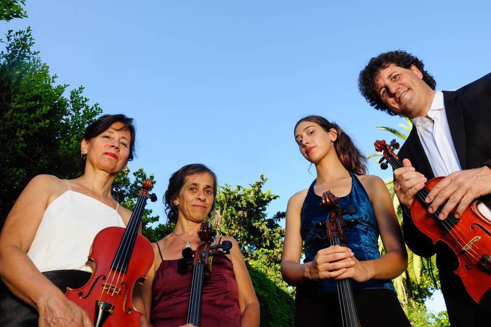 Cuarteto magenta