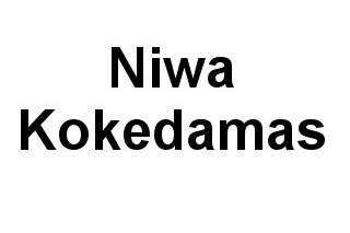 Niwa Kokedamas