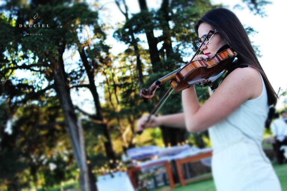 Música en la naturaleza