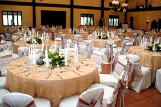 N&M Eventos