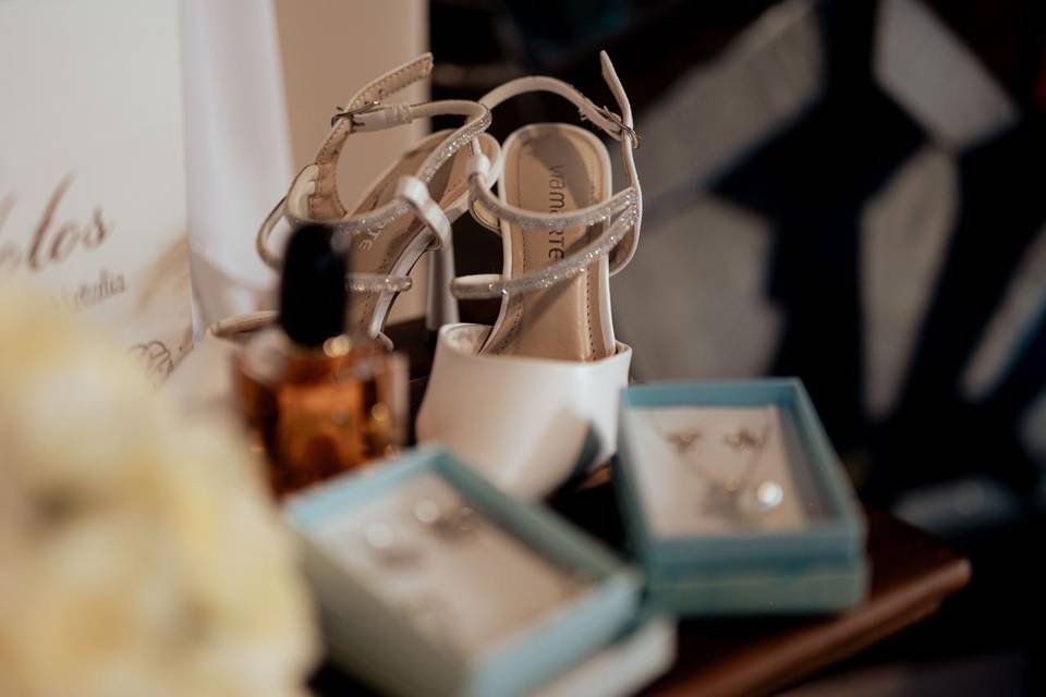 Anillos
