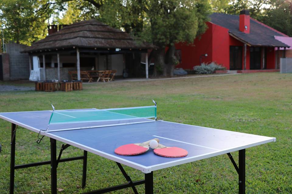 Zona de juegos - Ping pong