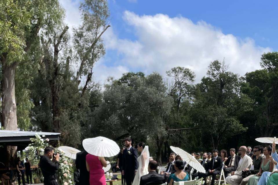 Violín y boda