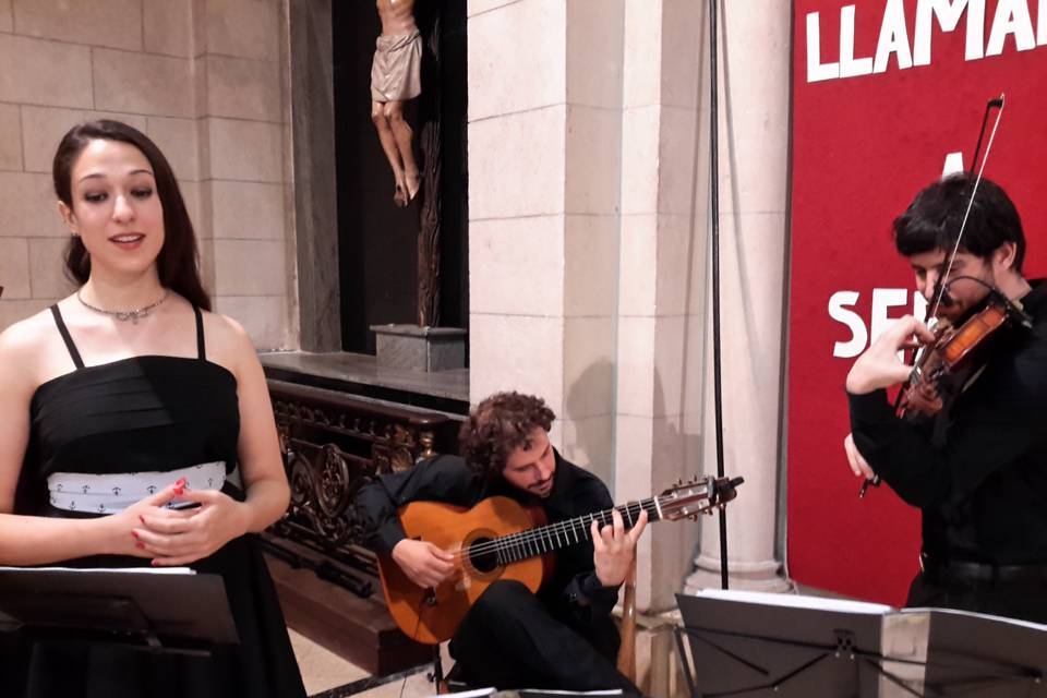 Violín, guitarra y voz