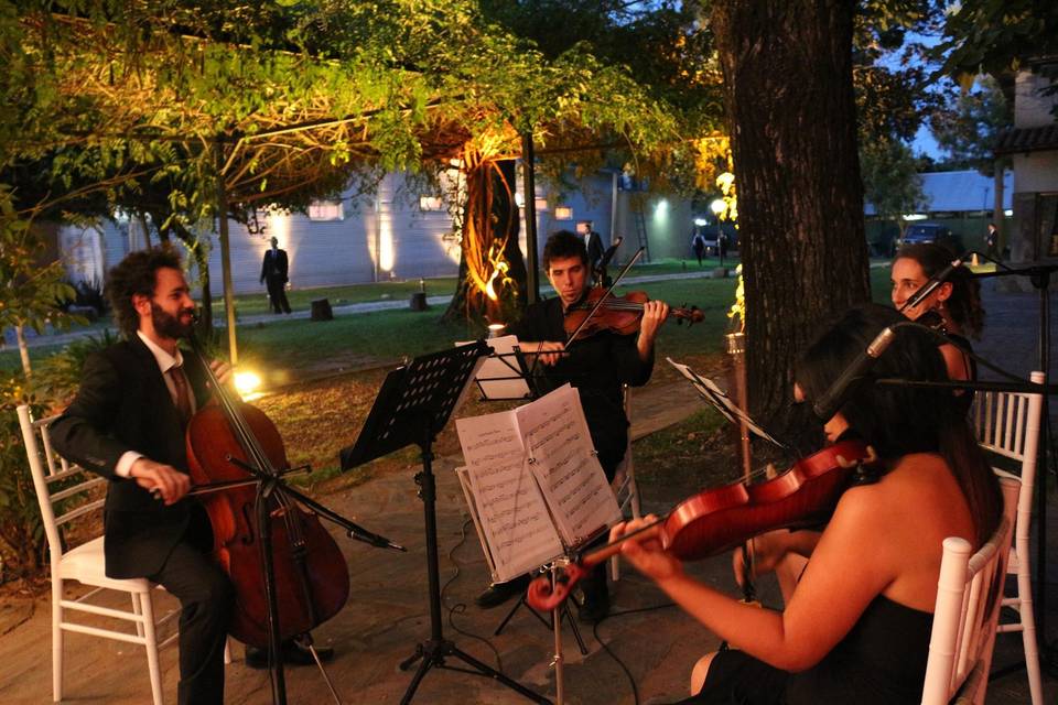 Cuarteto de cuerdas