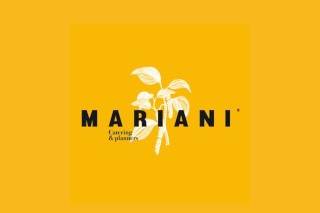 Mariani Catering & Planners