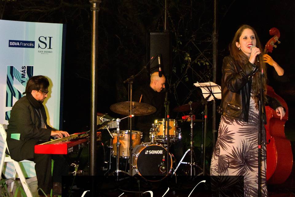 Lucía Verdomar - Música para eventos