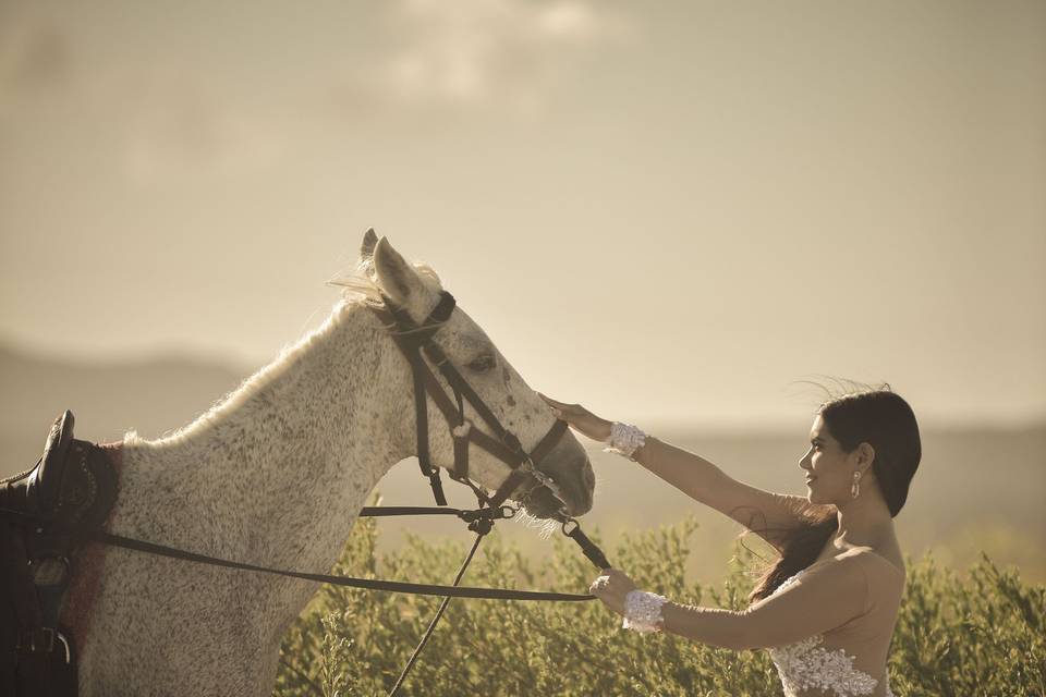 Novios