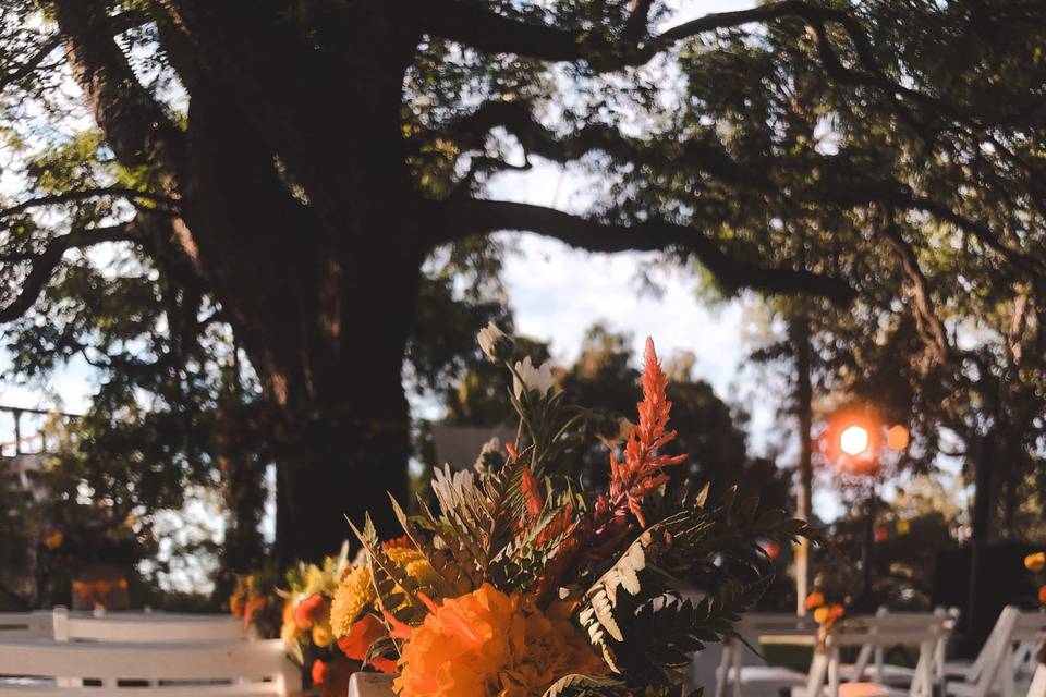 Detalle sillas ceremonia