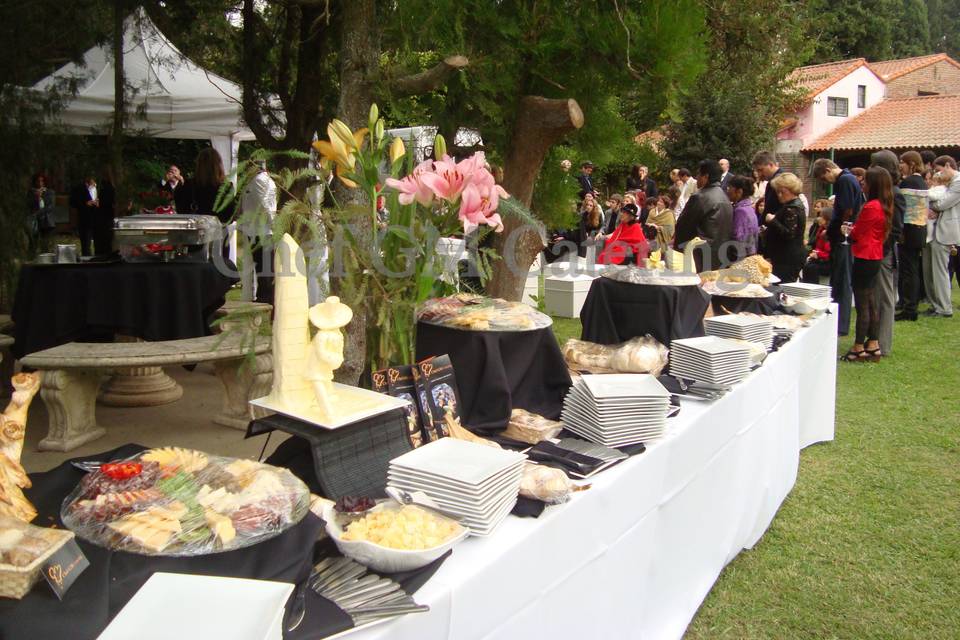 Buffet de recepcion en Quintas