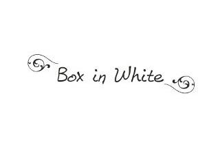 Box In White