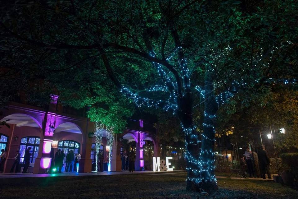 Deco led - Exterior árbol