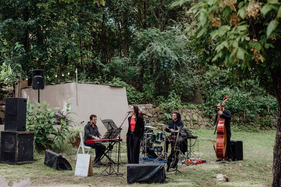 Música en vivo para bodas