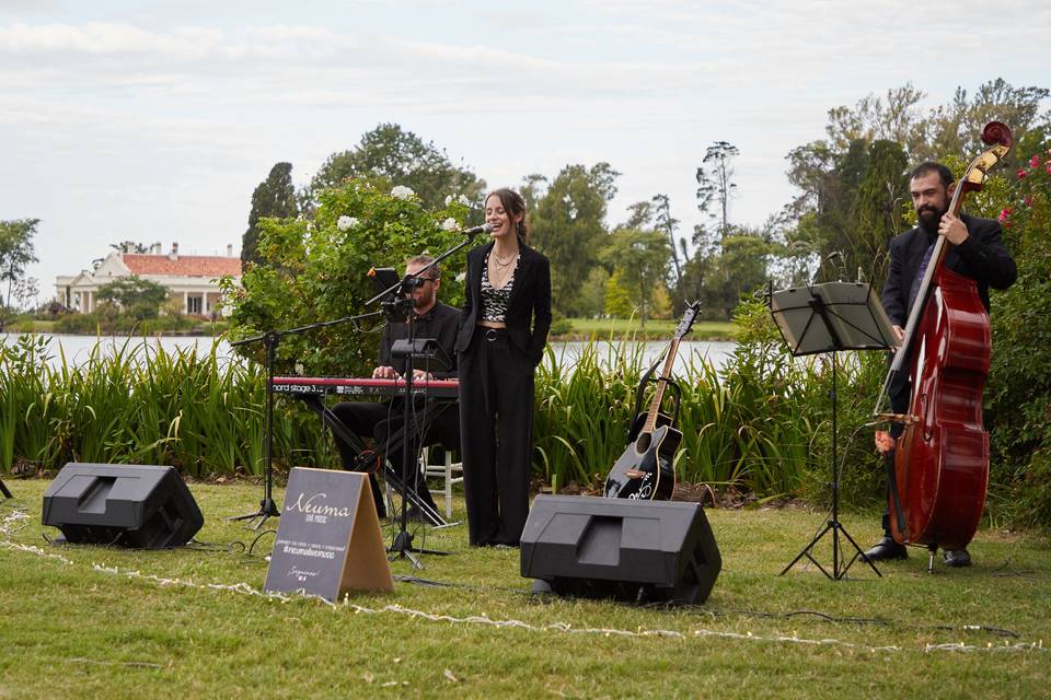 Música en vivo para eventos