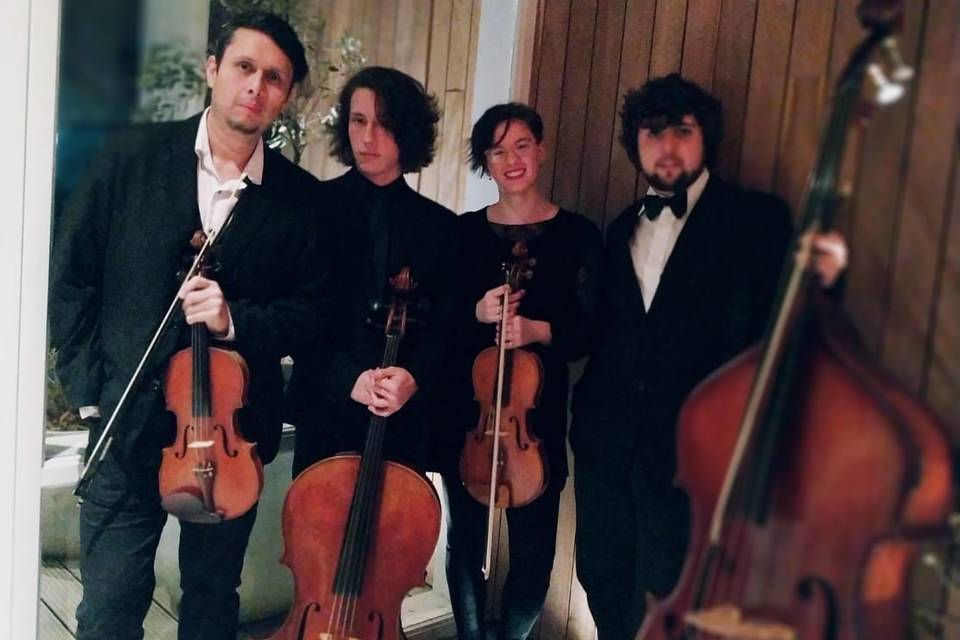 Violín, viola, cello y contrabajo