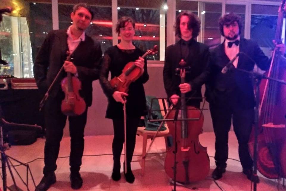 Violín, viola, cello y contrabajo