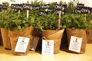 The Growing Gift 1