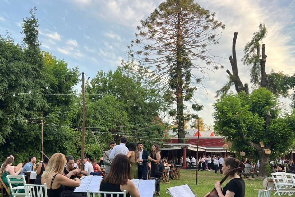 Cuarteto- Finca Madero